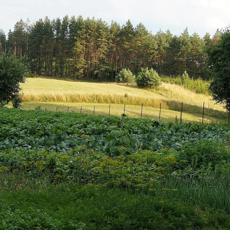Warminskie Uroczysko Villa Raszag Bagian luar foto