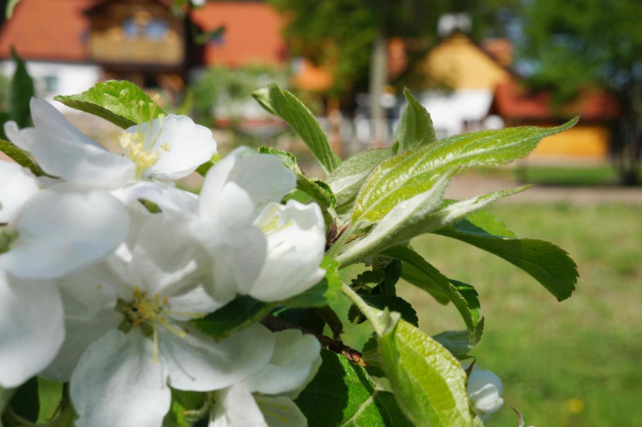 Warminskie Uroczysko Villa Raszag Bagian luar foto