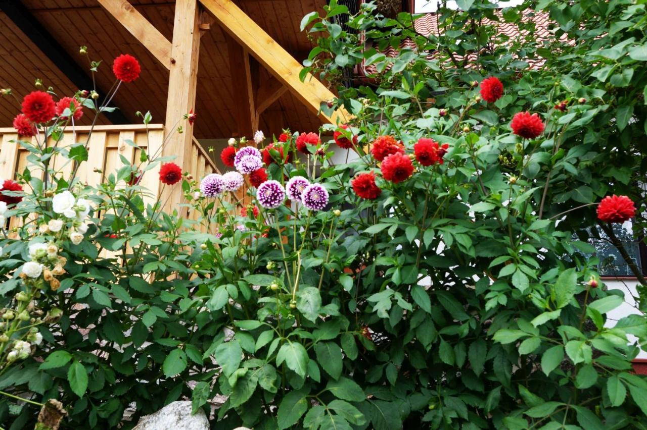 Warminskie Uroczysko Villa Raszag Bagian luar foto